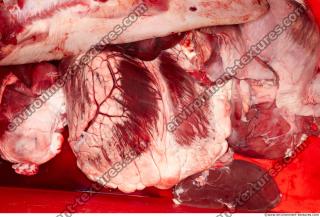 Photo Textures of Beef Viscera